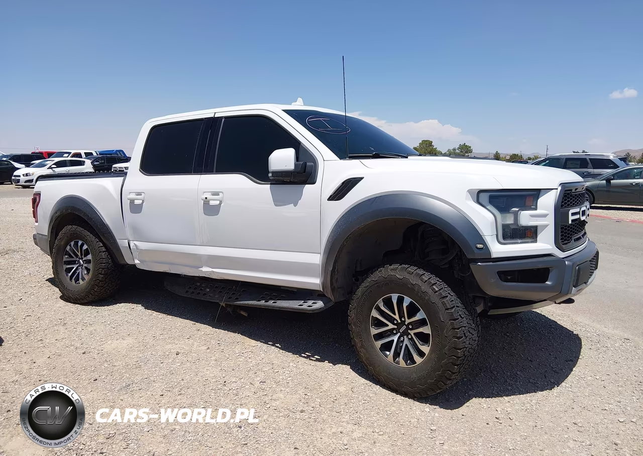 2020 Ford F-150 Raptor VIN:1FTFW1RG5LFA13164 - 13