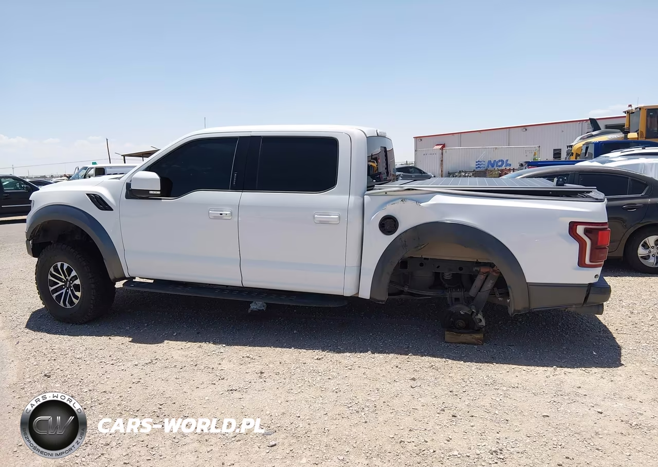 2020 Ford F-150 Raptor VIN:1FTFW1RG5LFA13164 - 14