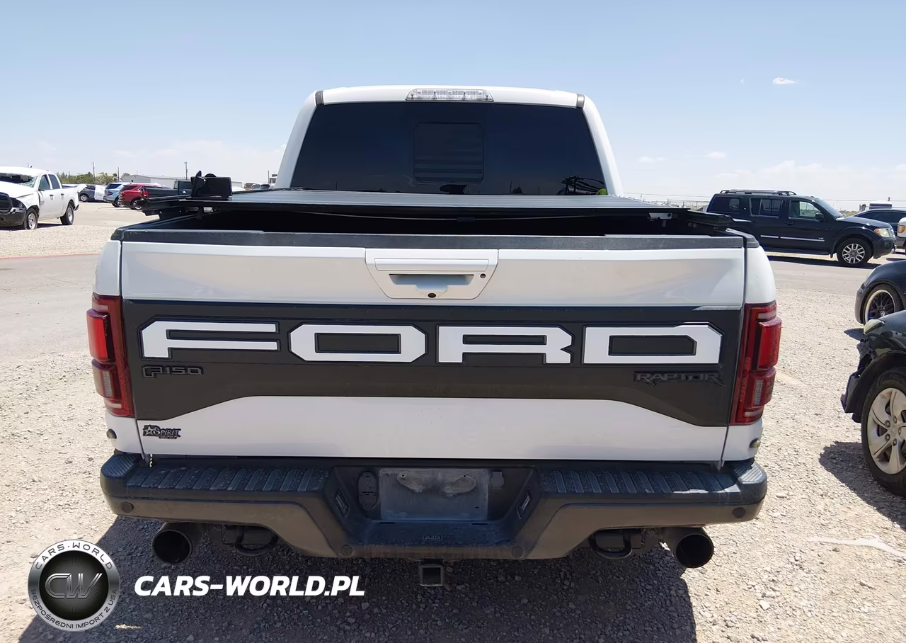 2020 Ford F-150 Raptor VIN:1FTFW1RG5LFA13164 - 16