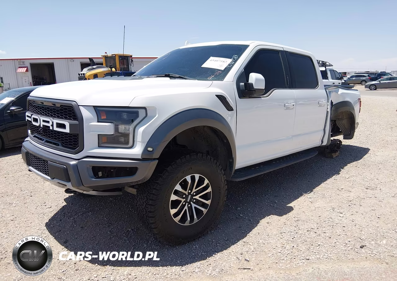 2020 Ford F-150 Raptor VIN:1FTFW1RG5LFA13164 - 2
