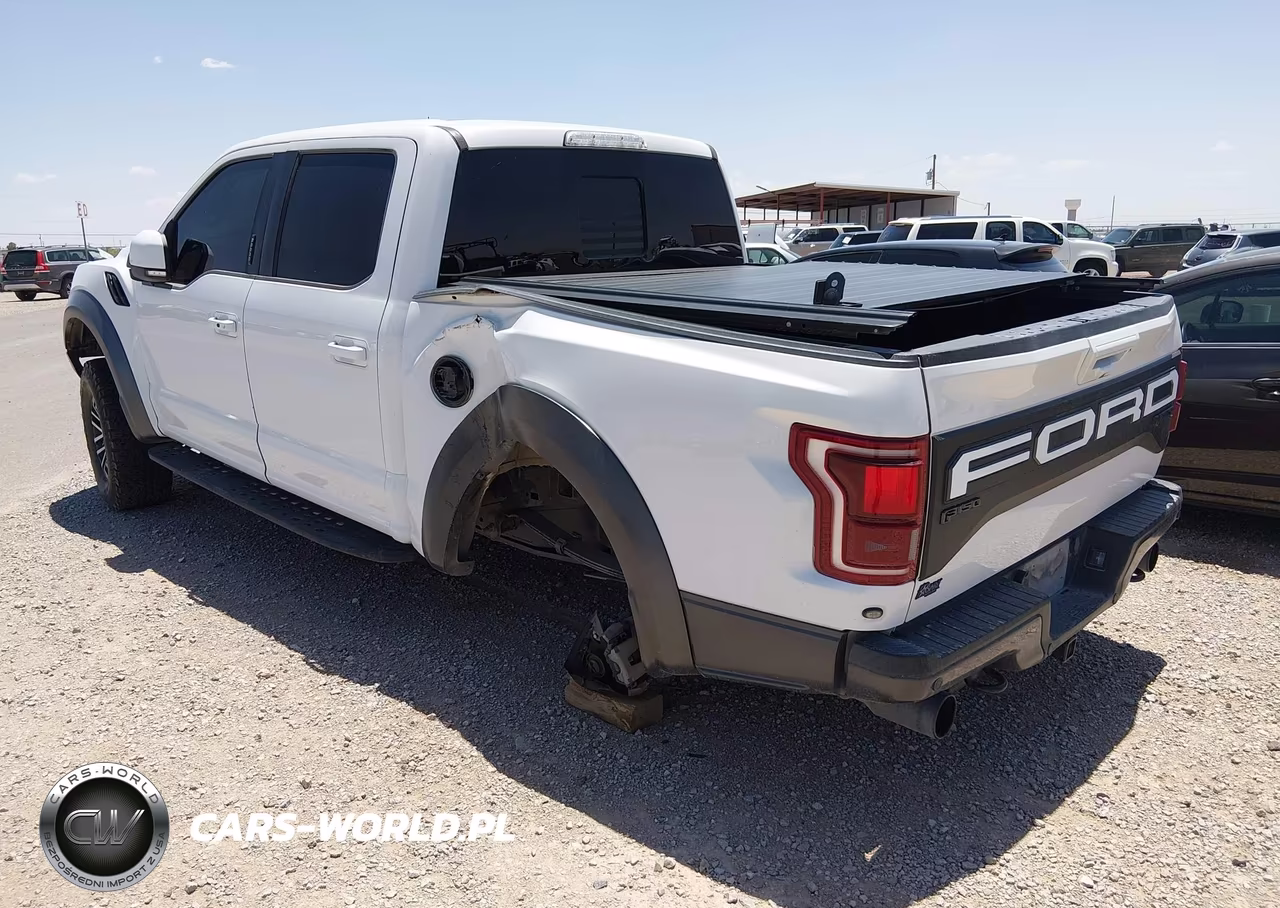 2020 Ford F-150 Raptor VIN:1FTFW1RG5LFA13164 - 3