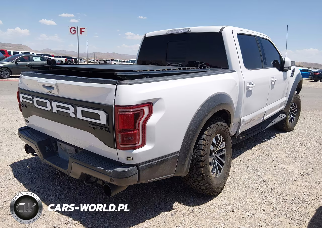 2020 Ford F-150 Raptor VIN:1FTFW1RG5LFA13164 - 4