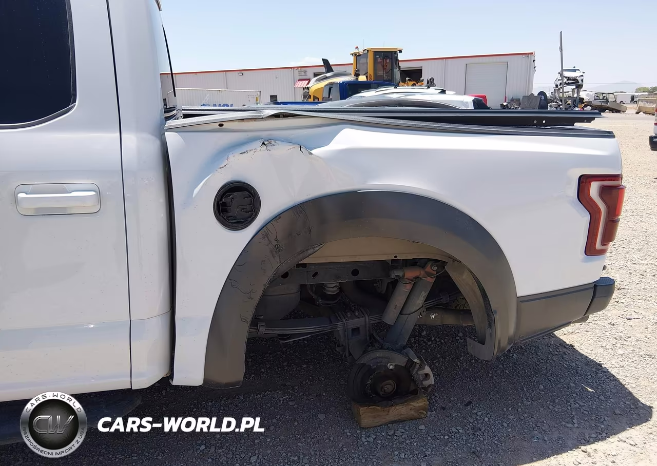 2020 Ford F-150 Raptor VIN:1FTFW1RG5LFA13164 - 6