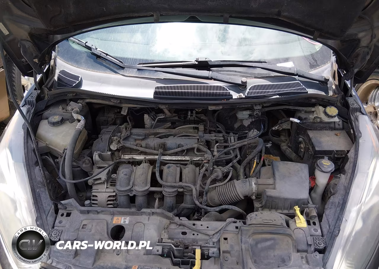 2014 Ford Fiesta Se VIN:3FADP4BJ4EM159995 - 10