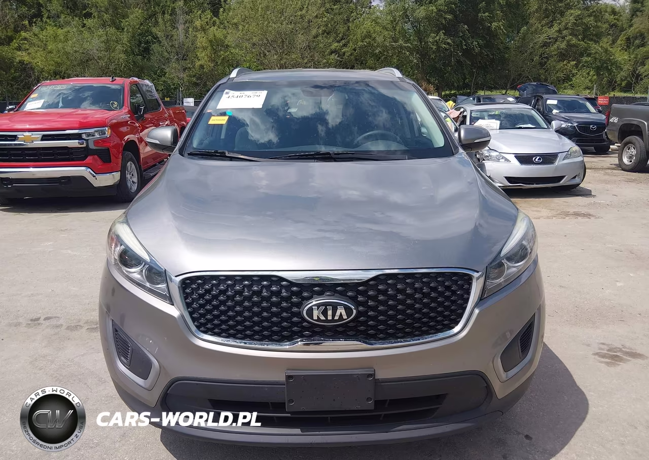 2017 Kia Sorento 2.4L Lx VIN:5XYPGDA39HG289119 - 13