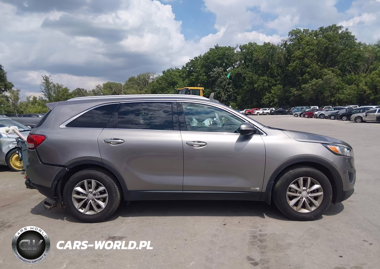 2017 Kia Sorento 2.4L Lx VIN:5XYPGDA39HG289119 - 14