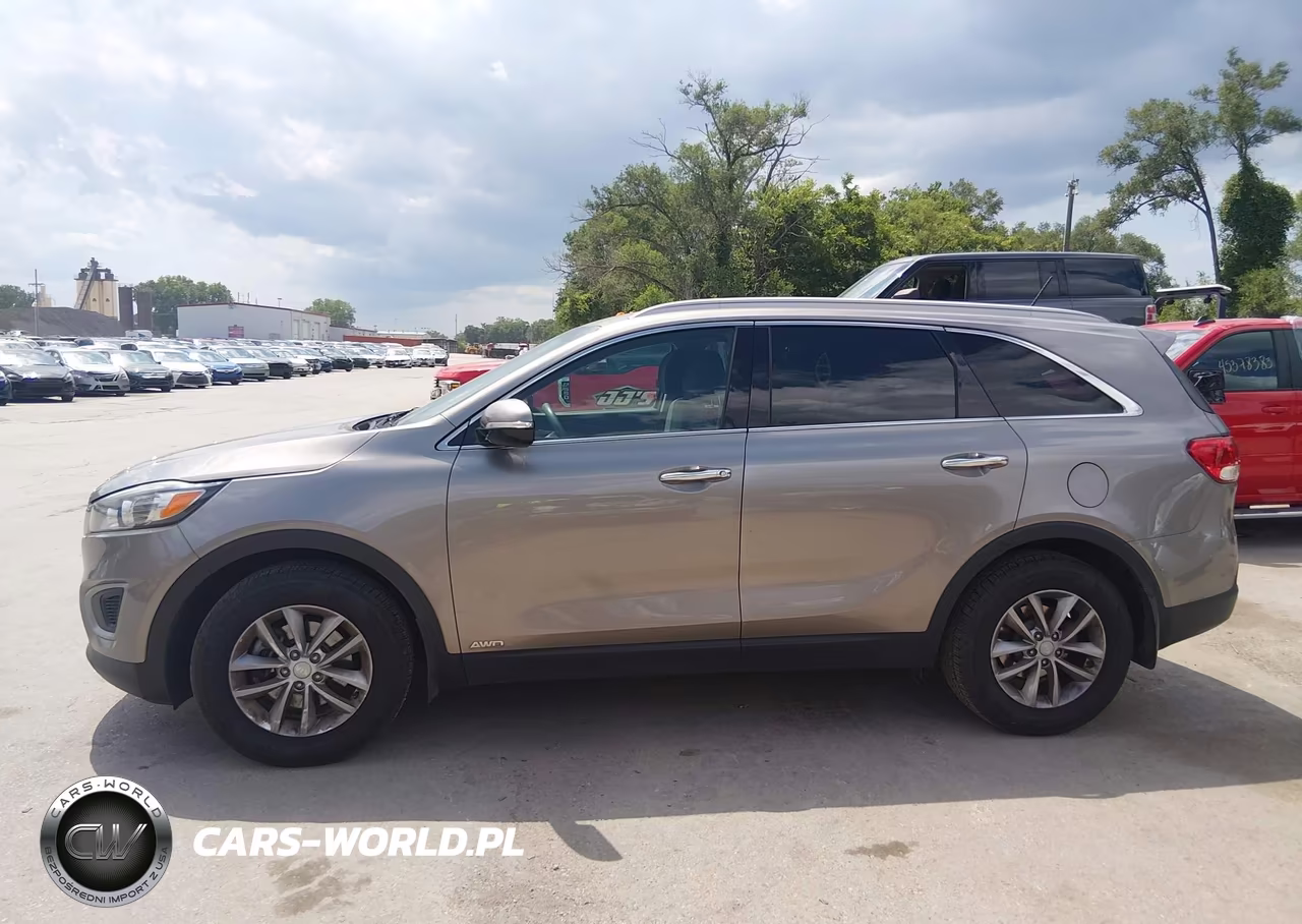 2017 Kia Sorento 2.4L Lx VIN:5XYPGDA39HG289119 - 15