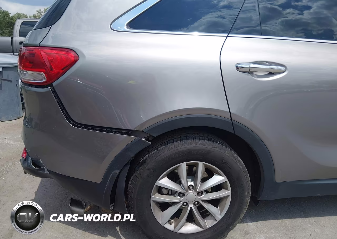 2017 Kia Sorento 2.4L Lx VIN:5XYPGDA39HG289119 - 19