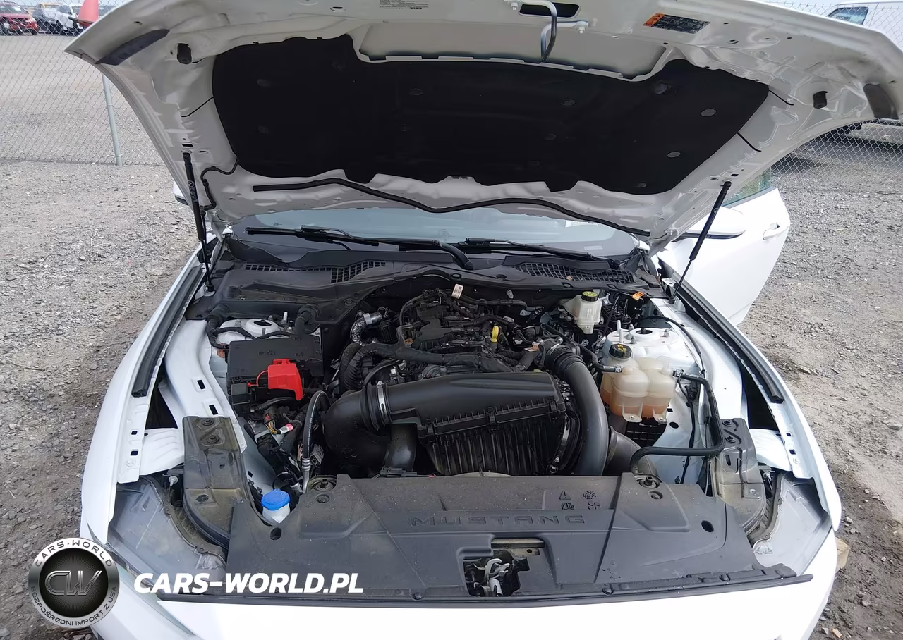 2024 Ford Mustang Ecoboost Fastback VIN:1FA6P8TH3R5107555 - 10