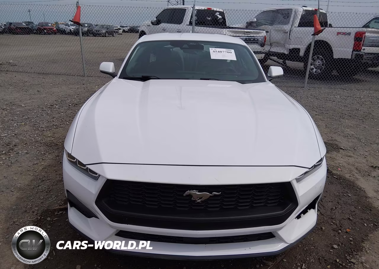 2024 Ford Mustang Ecoboost Fastback VIN:1FA6P8TH3R5107555 - 12