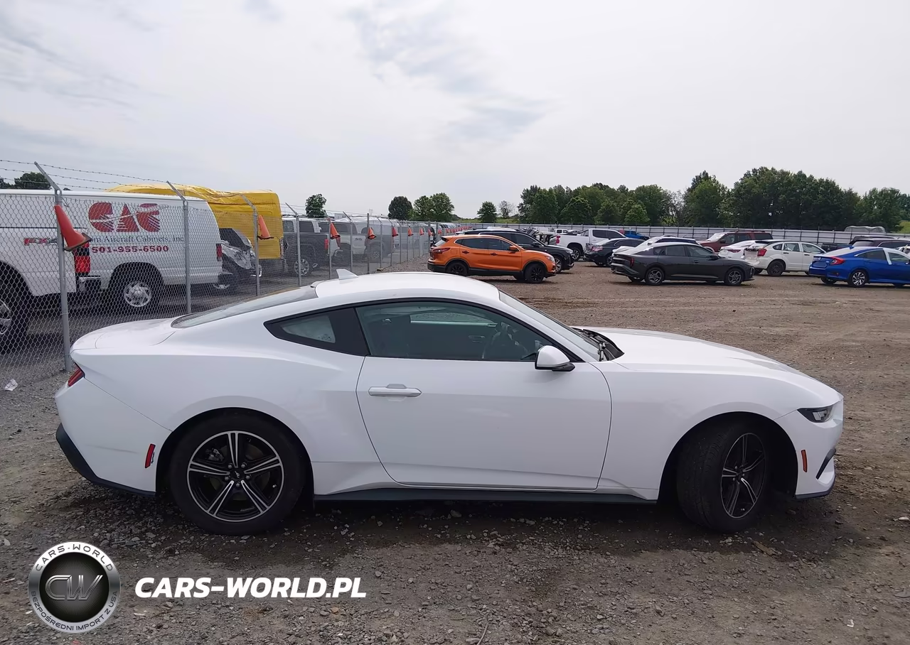 2024 Ford Mustang Ecoboost Fastback VIN:1FA6P8TH3R5107555 - 13