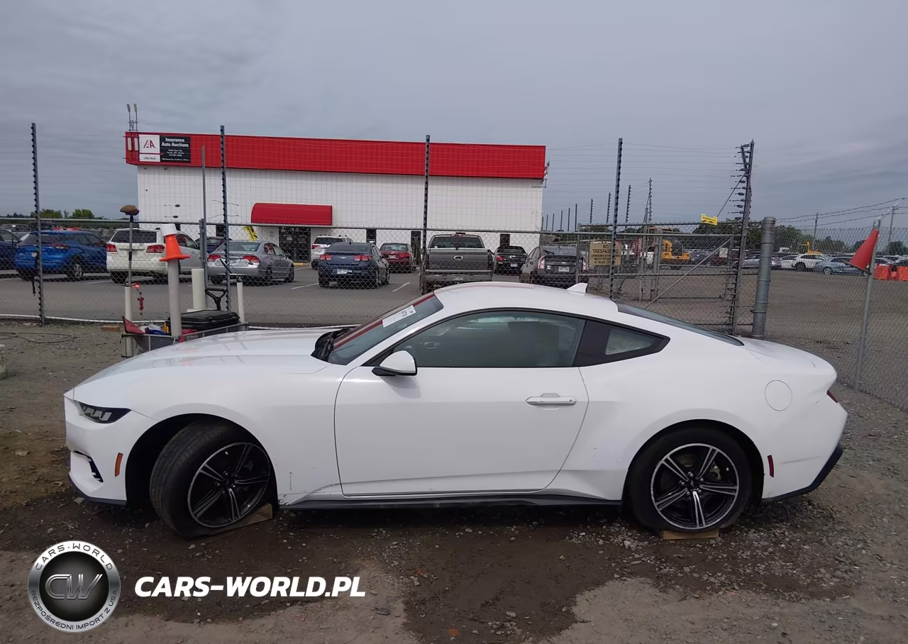 2024 Ford Mustang Ecoboost Fastback VIN:1FA6P8TH3R5107555 - 14
