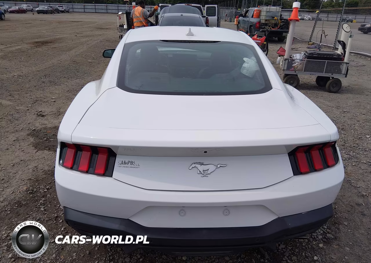 2024 Ford Mustang Ecoboost Fastback VIN:1FA6P8TH3R5107555 - 16