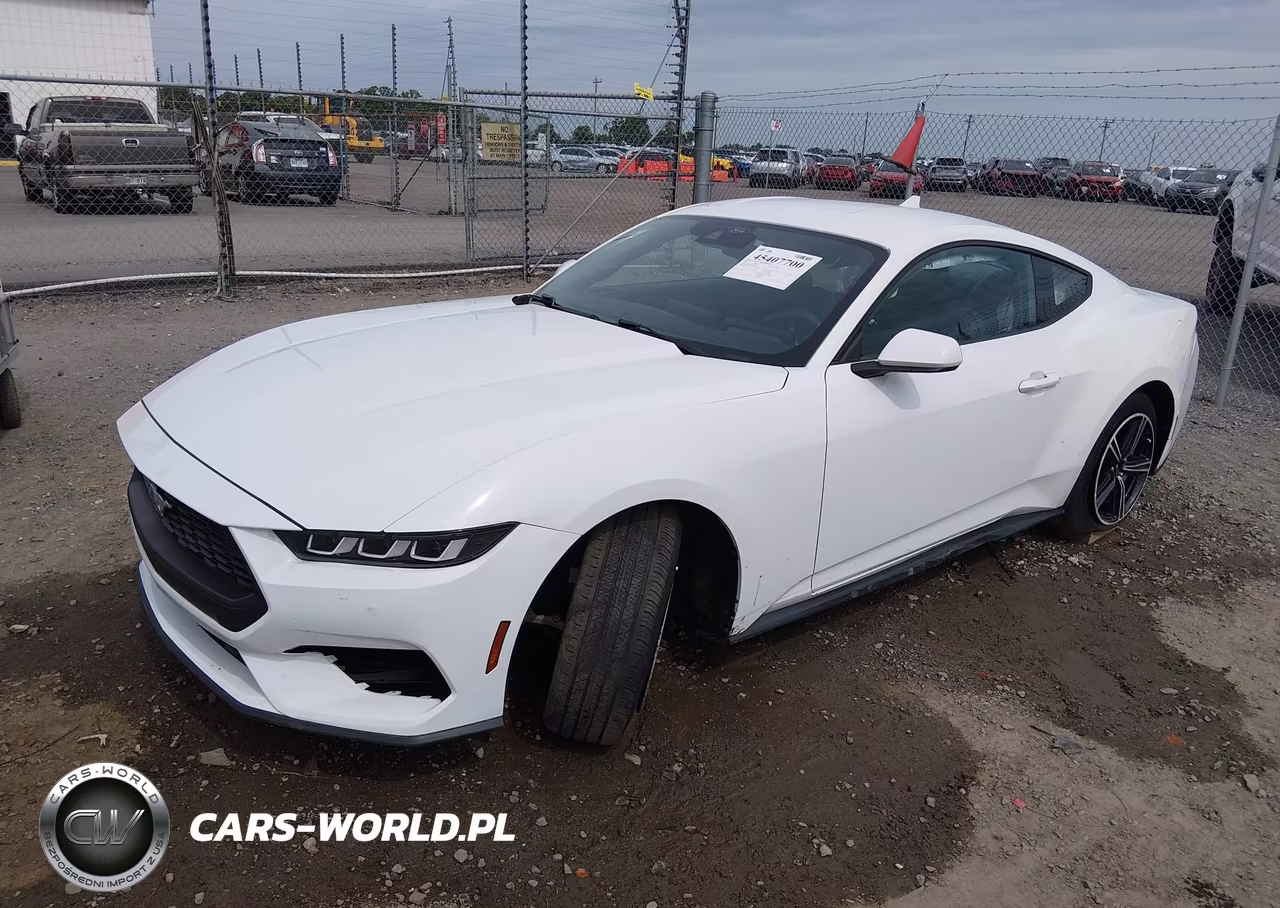2024 Ford Mustang Ecoboost Fastback VIN:1FA6P8TH3R5107555 - 2