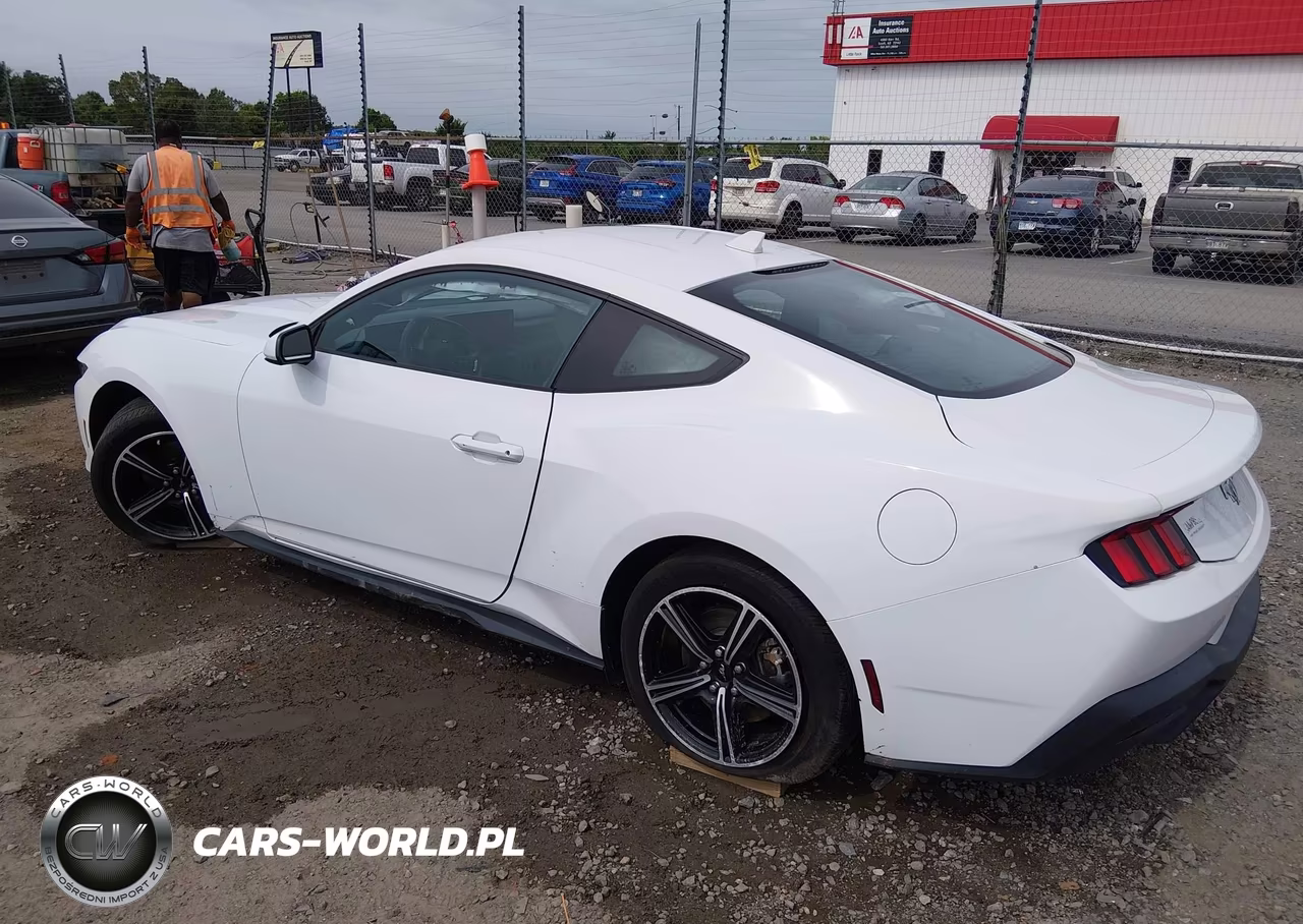 2024 Ford Mustang Ecoboost Fastback VIN:1FA6P8TH3R5107555 - 3