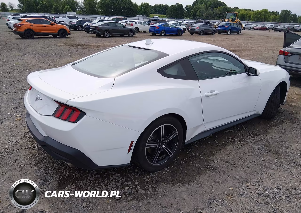 2024 Ford Mustang Ecoboost Fastback VIN:1FA6P8TH3R5107555 - 4