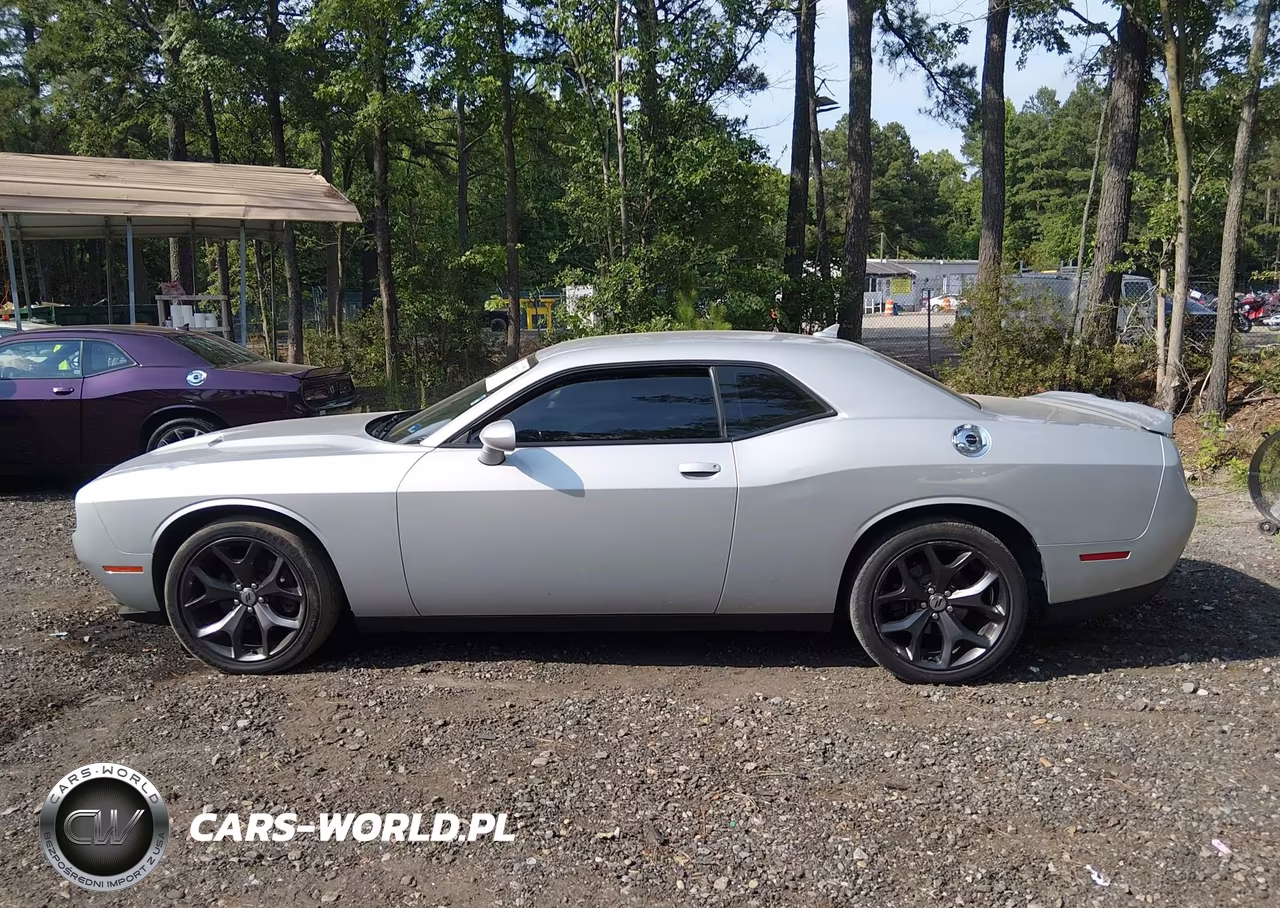 2019 Dodge Challenger Sxt VIN:2C3CDZAG4KH751171 - 14
