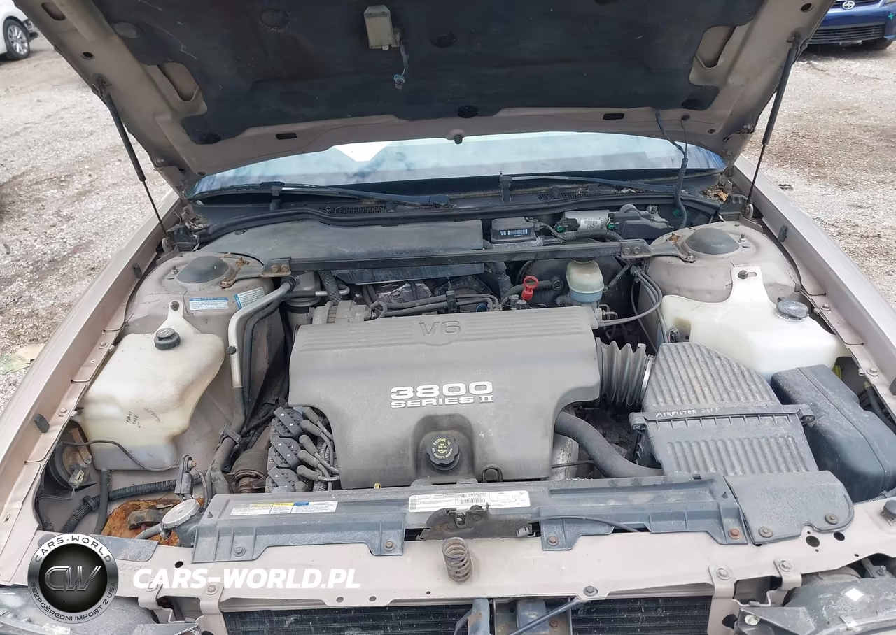 1999 Buick Lesabre Custom VIN:1G4HP52K3XH470332 - 10
