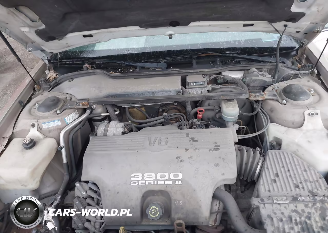 1999 Buick Lesabre Custom VIN:1G4HP52K7XH490650 - 10