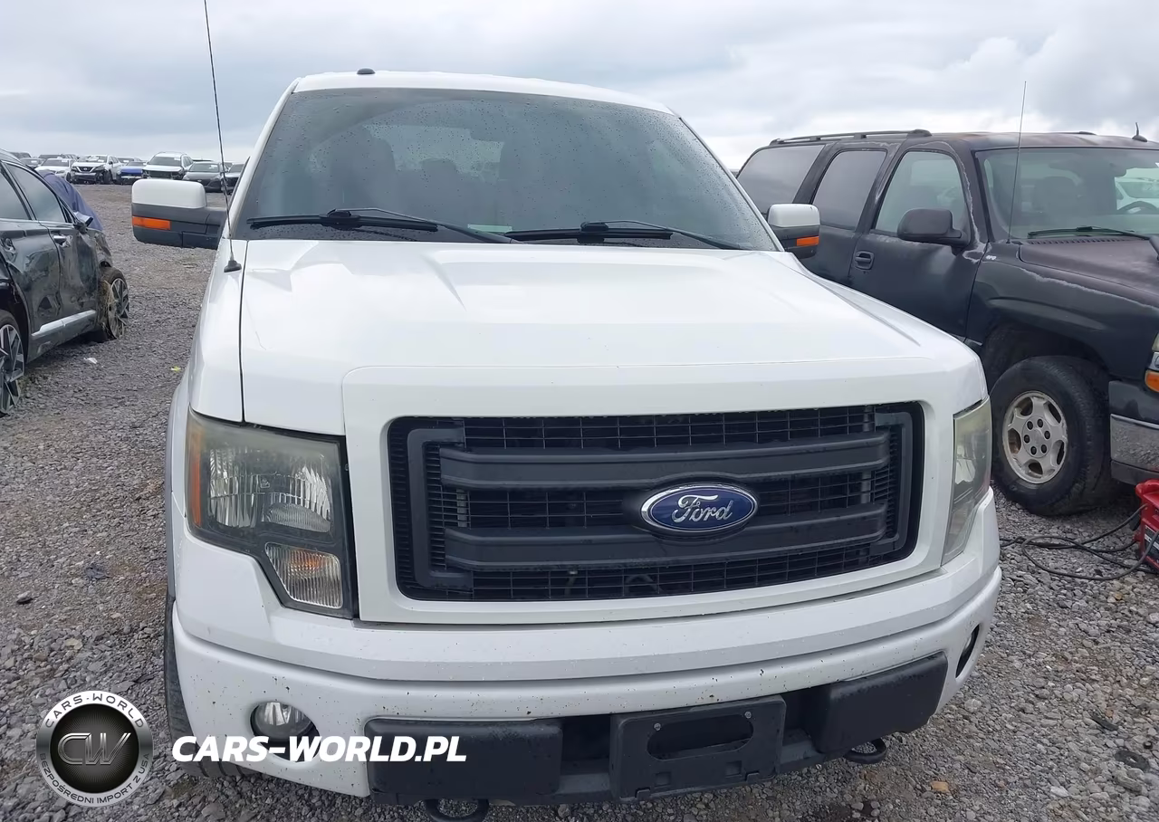 2014 Ford F-150 Fx4-King Ranch-Lariat-Platinum-Stx-Xl-Xlt VIN:1FTFW1EF3EKD67983 - 12