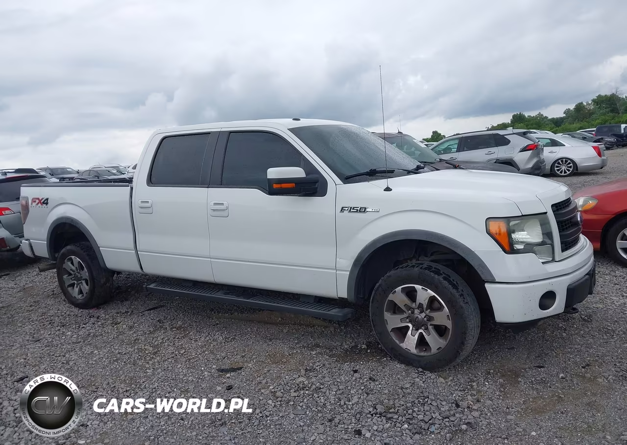 2014 Ford F-150 Fx4-King Ranch-Lariat-Platinum-Stx-Xl-Xlt VIN:1FTFW1EF3EKD67983 - 13