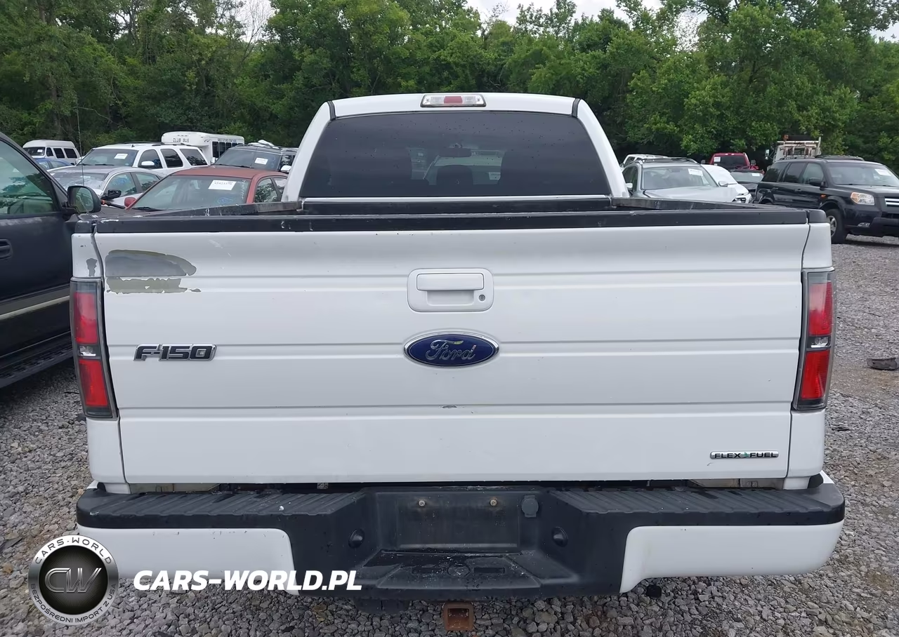 2014 Ford F-150 Fx4-King Ranch-Lariat-Platinum-Stx-Xl-Xlt VIN:1FTFW1EF3EKD67983 - 16