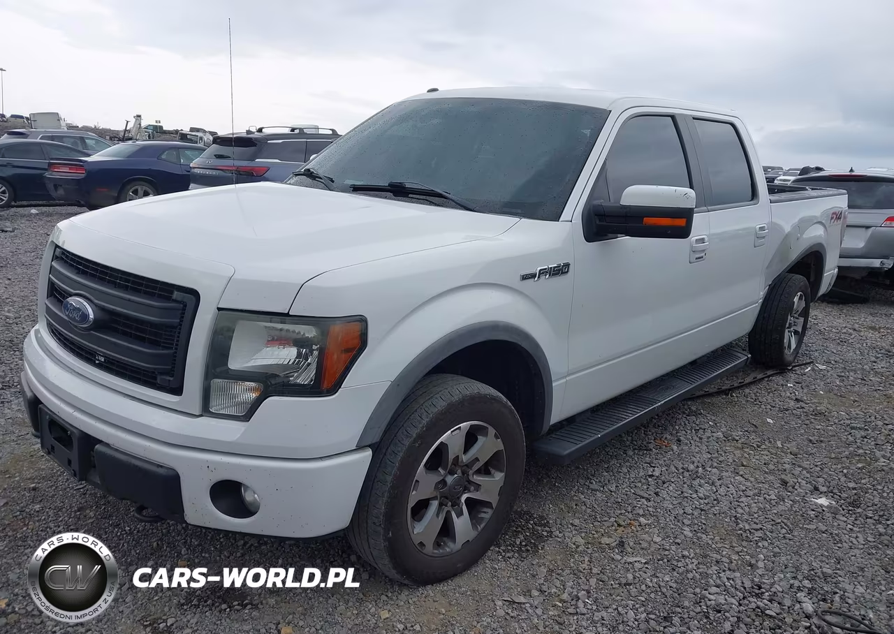 2014 Ford F-150 Fx4-King Ranch-Lariat-Platinum-Stx-Xl-Xlt VIN:1FTFW1EF3EKD67983 - 2
