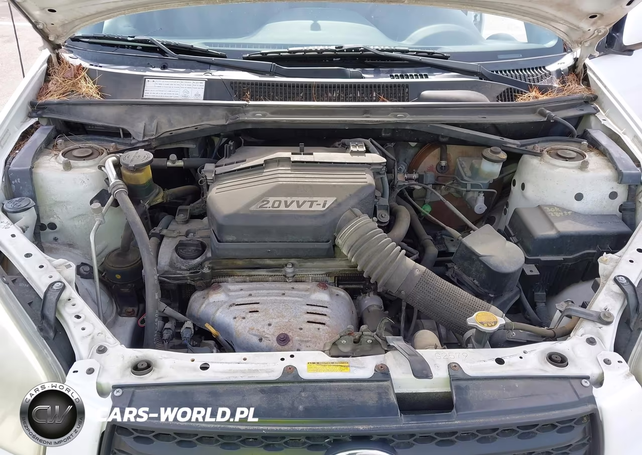 2002 Toyota Rav4 VIN:JTEHH20V020152149 - 10