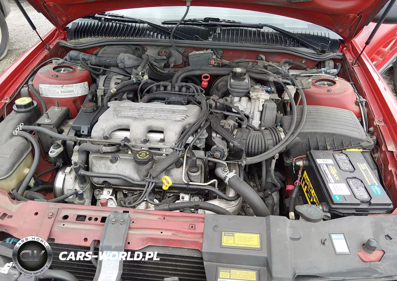 1995 Buick Skylark Gran Sport-Custom-Limited VIN:1G4NV55M2SC440377 - 10