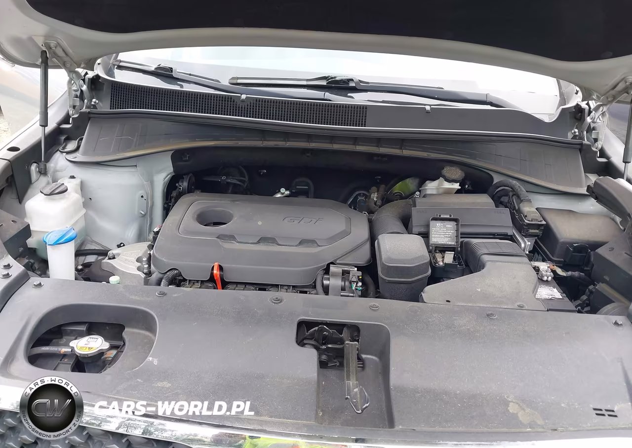 2016 Kia Sorento 2.4L Lx VIN:5XYPGDA30GG024345 - 10