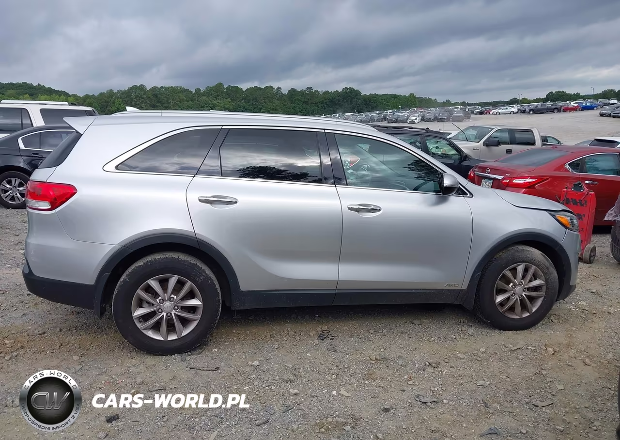 2016 Kia Sorento 2.4L Lx VIN:5XYPGDA30GG024345 - 13
