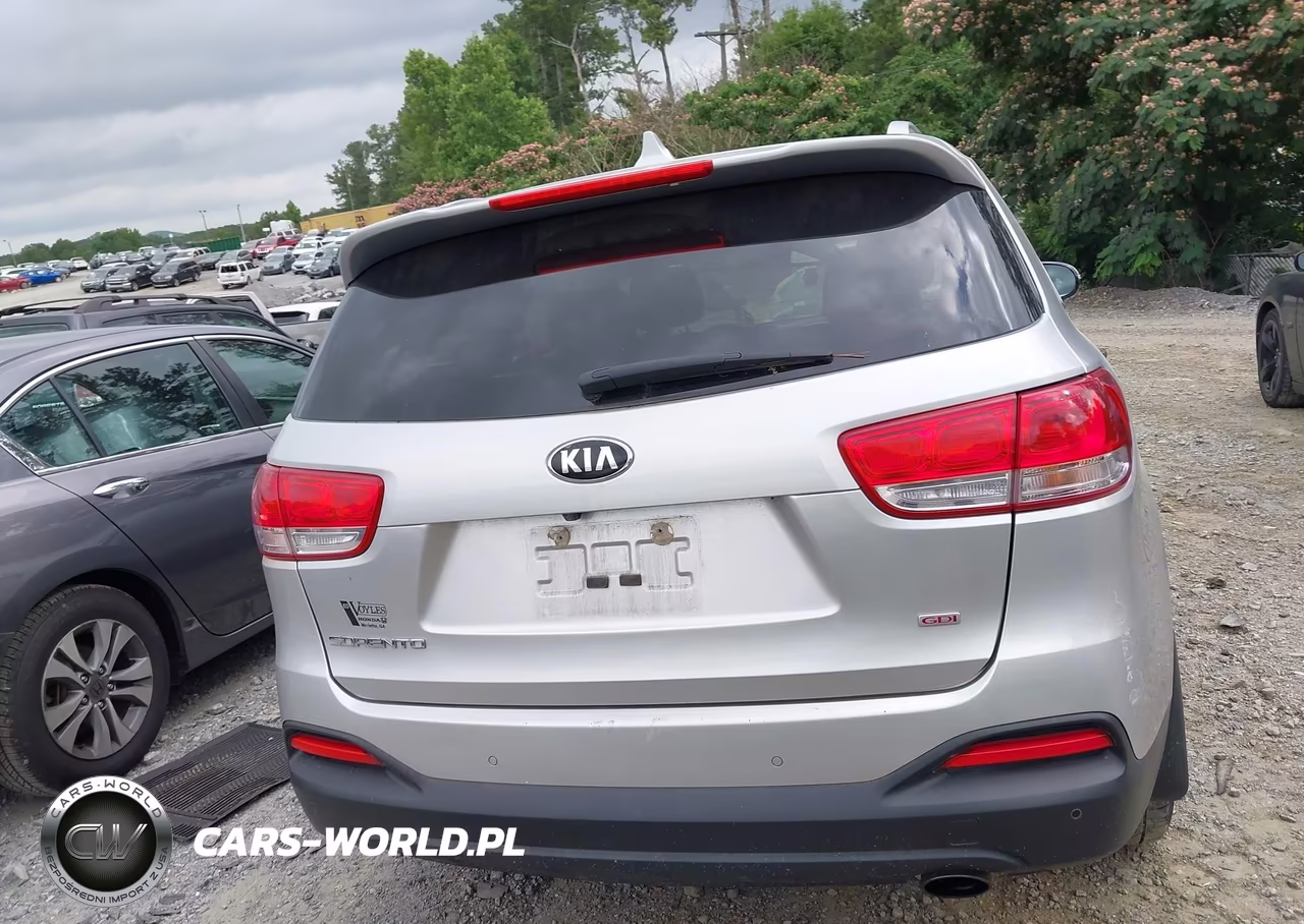 2016 Kia Sorento 2.4L Lx VIN:5XYPGDA30GG024345 - 16