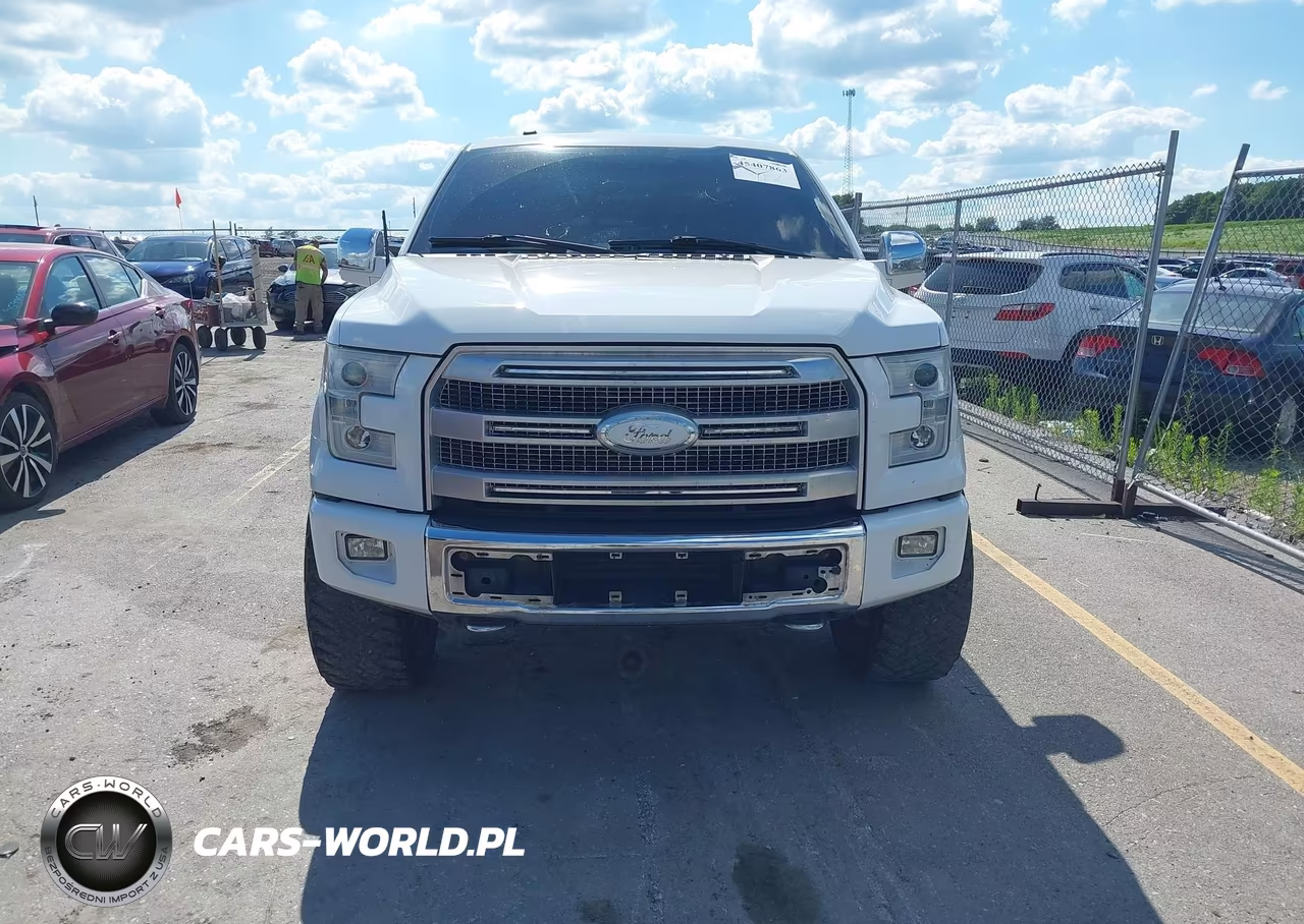 2015 Ford F-150 King Ranch-Lariat-Platinum-Xl-Xlt VIN:1FTFW1EG1FFC94339 - 13