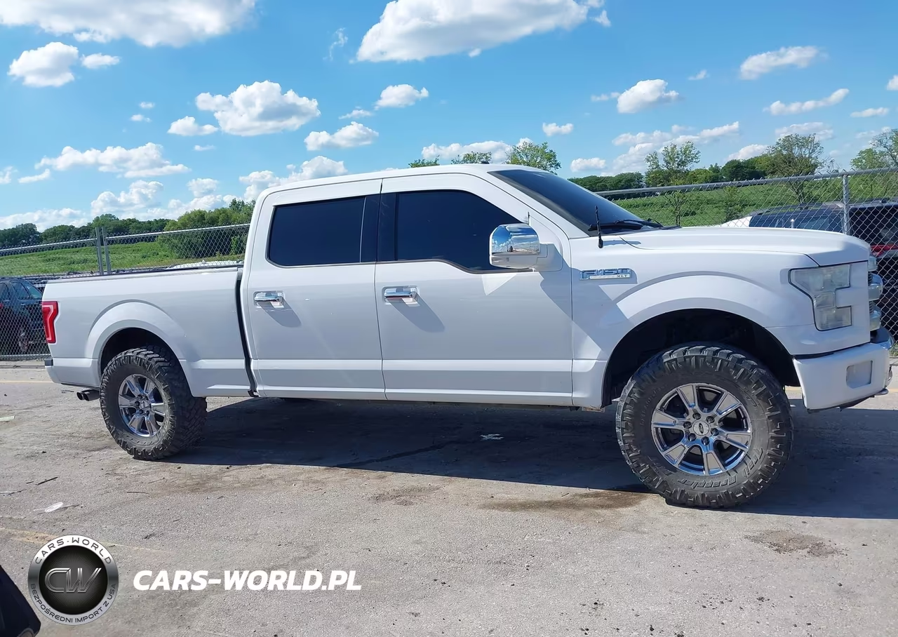 2015 Ford F-150 King Ranch-Lariat-Platinum-Xl-Xlt VIN:1FTFW1EG1FFC94339 - 14
