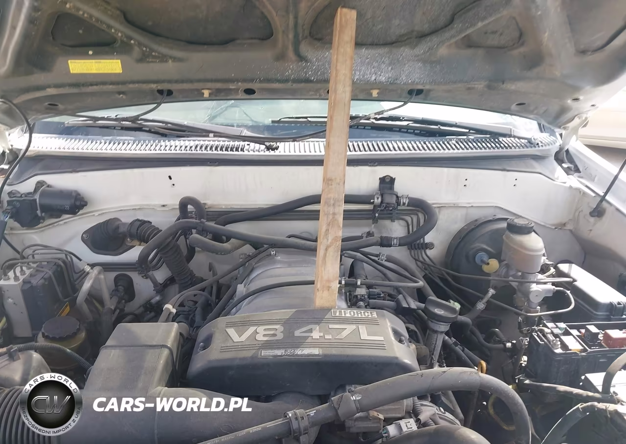2002 Toyota Sequoia Sr5 VIN:5TDZT34A12S109036 - 10
