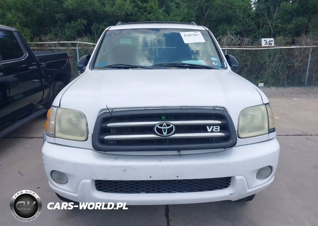 2002 Toyota Sequoia Sr5 VIN:5TDZT34A12S109036 - 12
