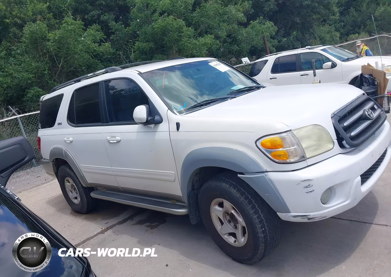 2002 Toyota Sequoia Sr5 VIN:5TDZT34A12S109036 - 13