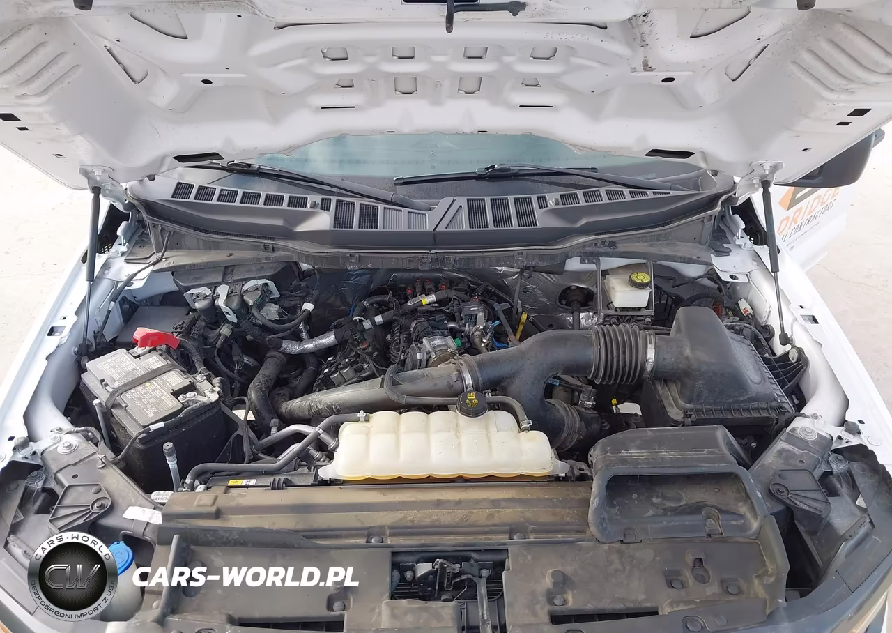 2024 Ford F-150 Stx VIN:1FTEW2KP0RKE20790 - 10