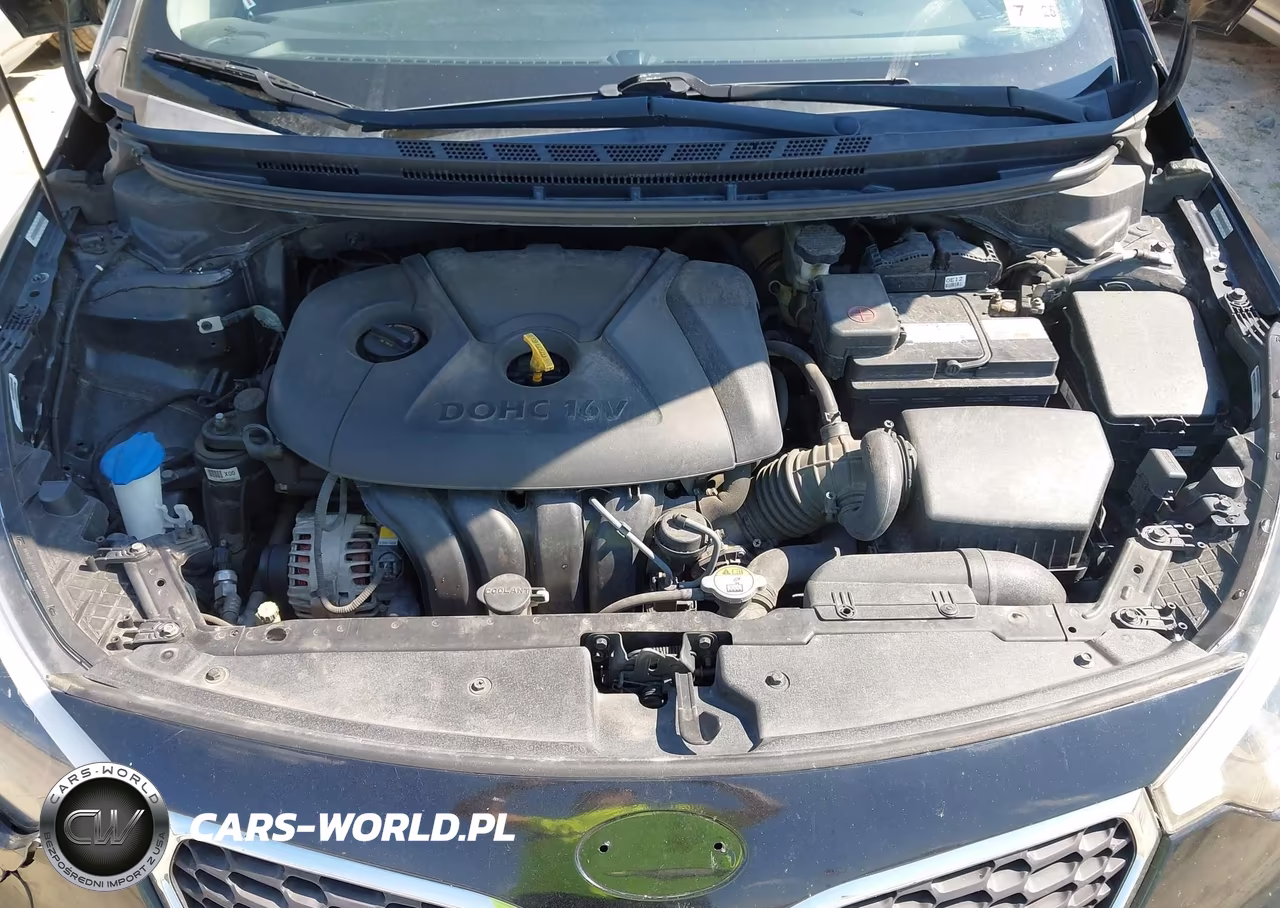 2014 Kia Forte Lx VIN:KNAFX4A67E5188667 - 10