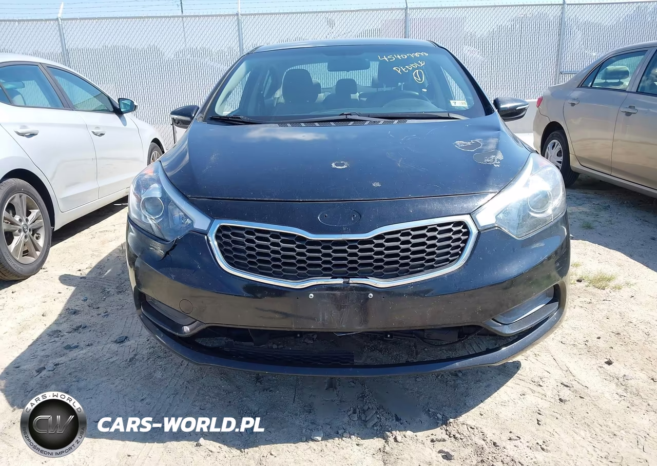 2014 Kia Forte Lx VIN:KNAFX4A67E5188667 - 14