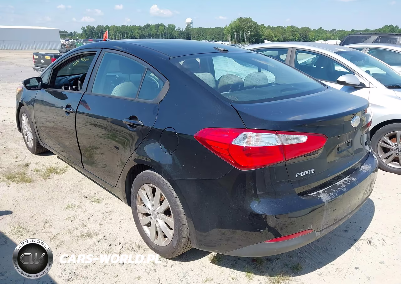 2014 Kia Forte Lx VIN:KNAFX4A67E5188667 - 3