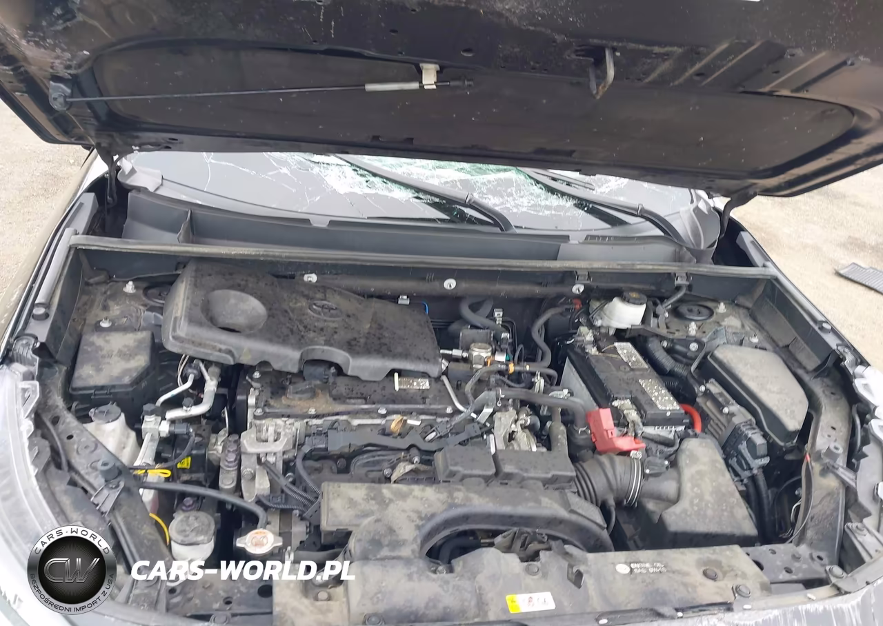 2021 Toyota Rav4 Xle VIN:2T3W1RFV5MC157797 - 10