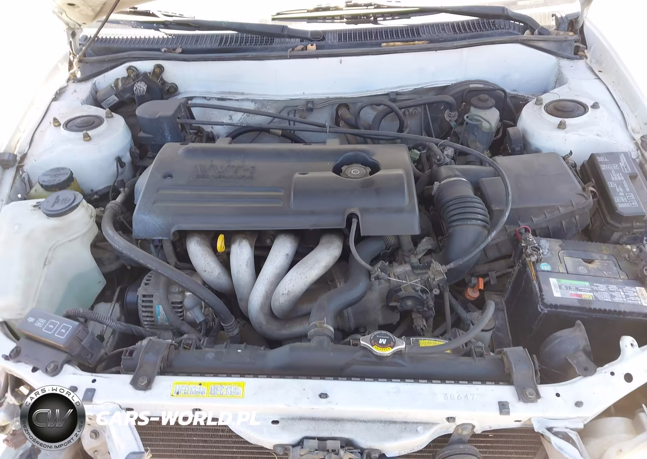 2001 Toyota Corolla Le VIN:1NXBR12E21Z520669 - 10
