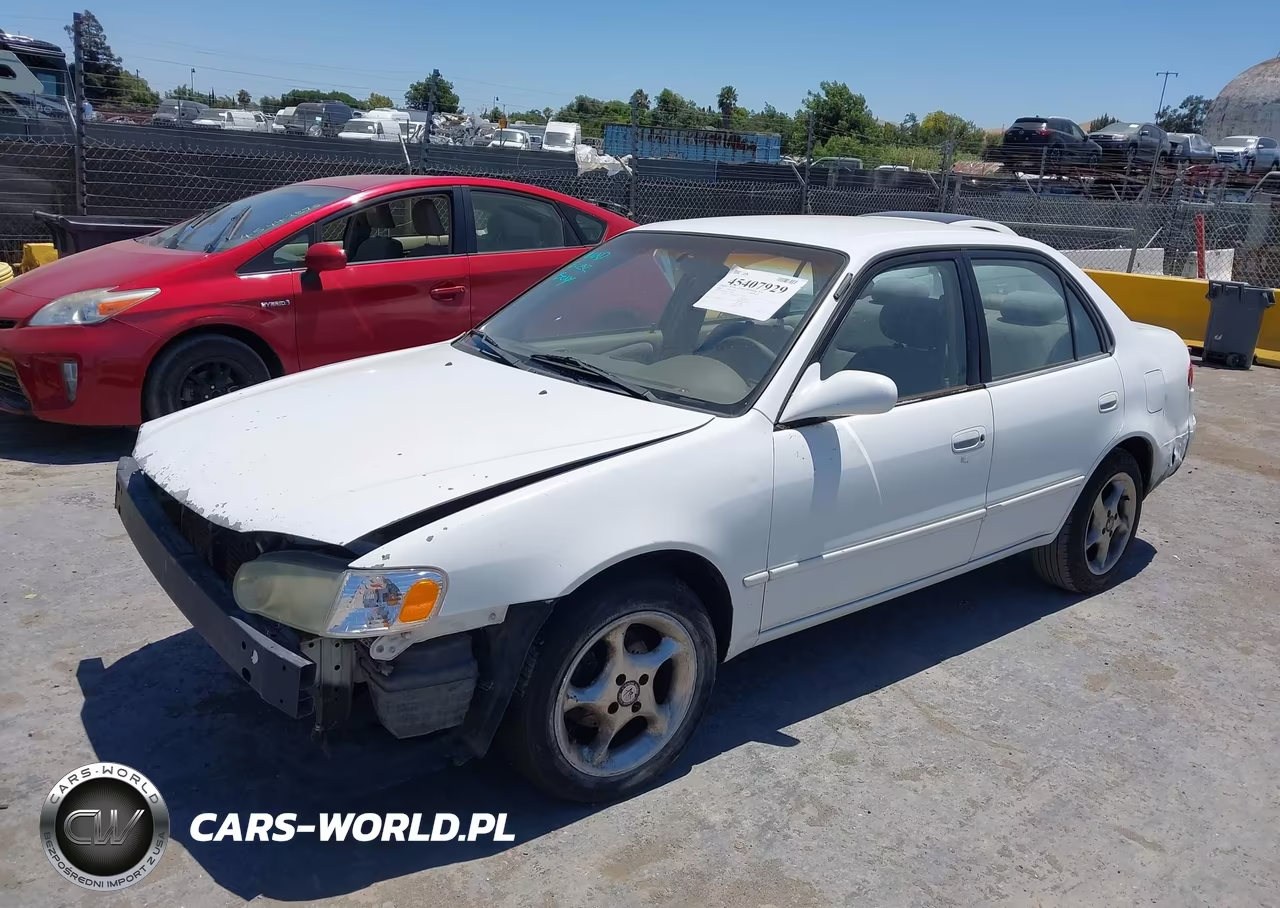 2001 Toyota Corolla Le VIN:1NXBR12E21Z520669 - 2