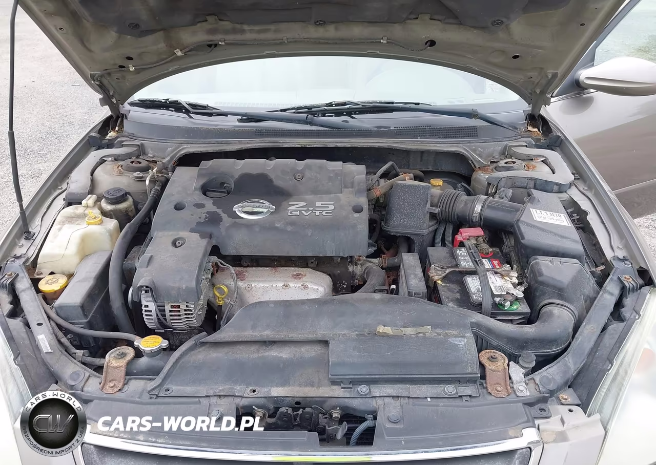 2003 Nissan Altima 2.5 Sl VIN:1N4AL11D23C166256 - 10