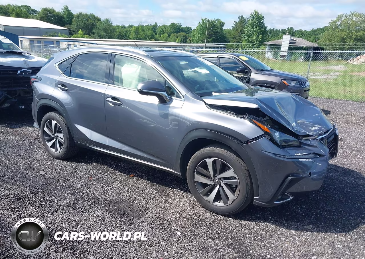 2019 Lexus Nx 300 Base-300 F Sport