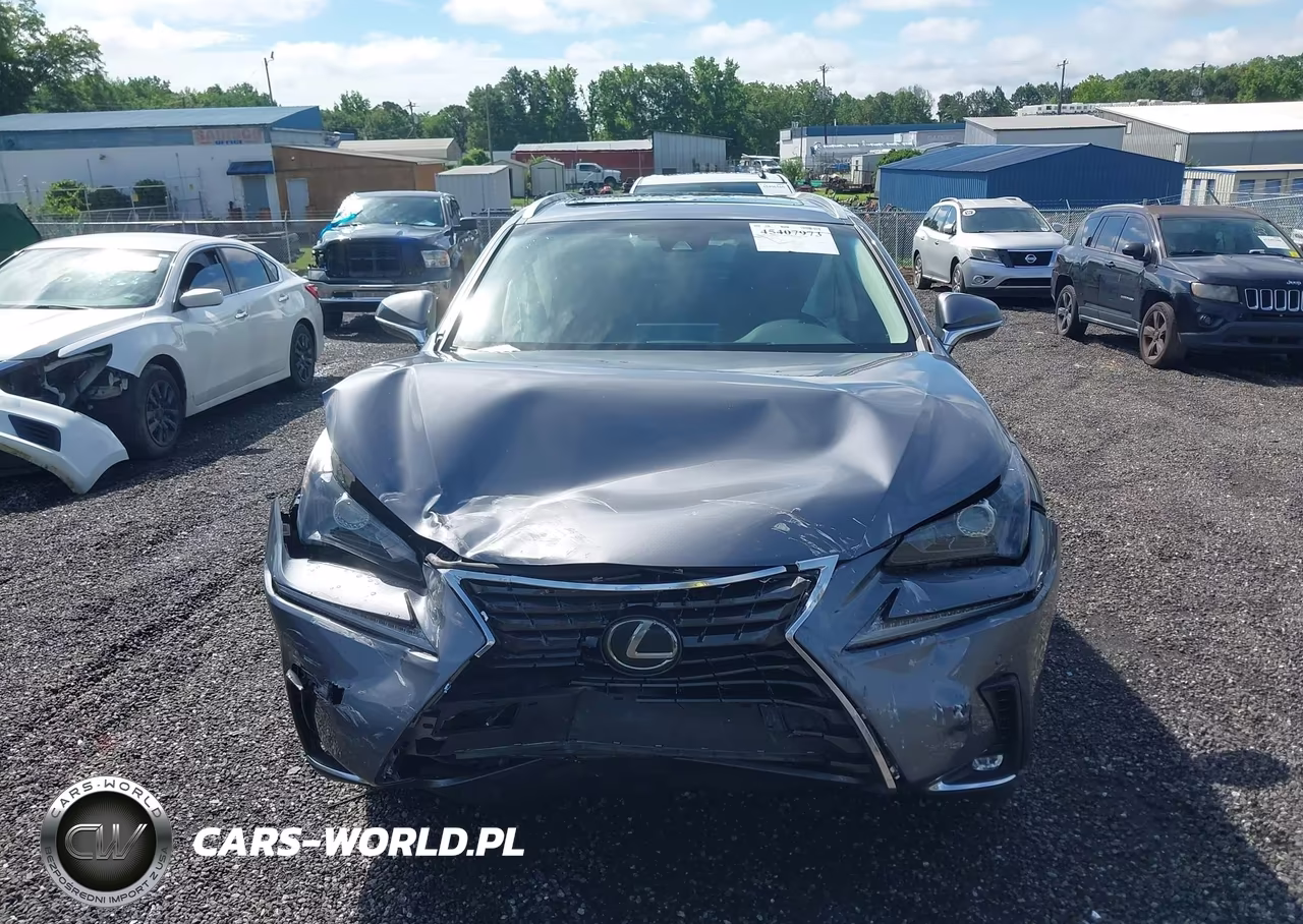 2019 Lexus Nx 300 Base-300 F Sport VIN:JTJYARBZXK2118786 - 12