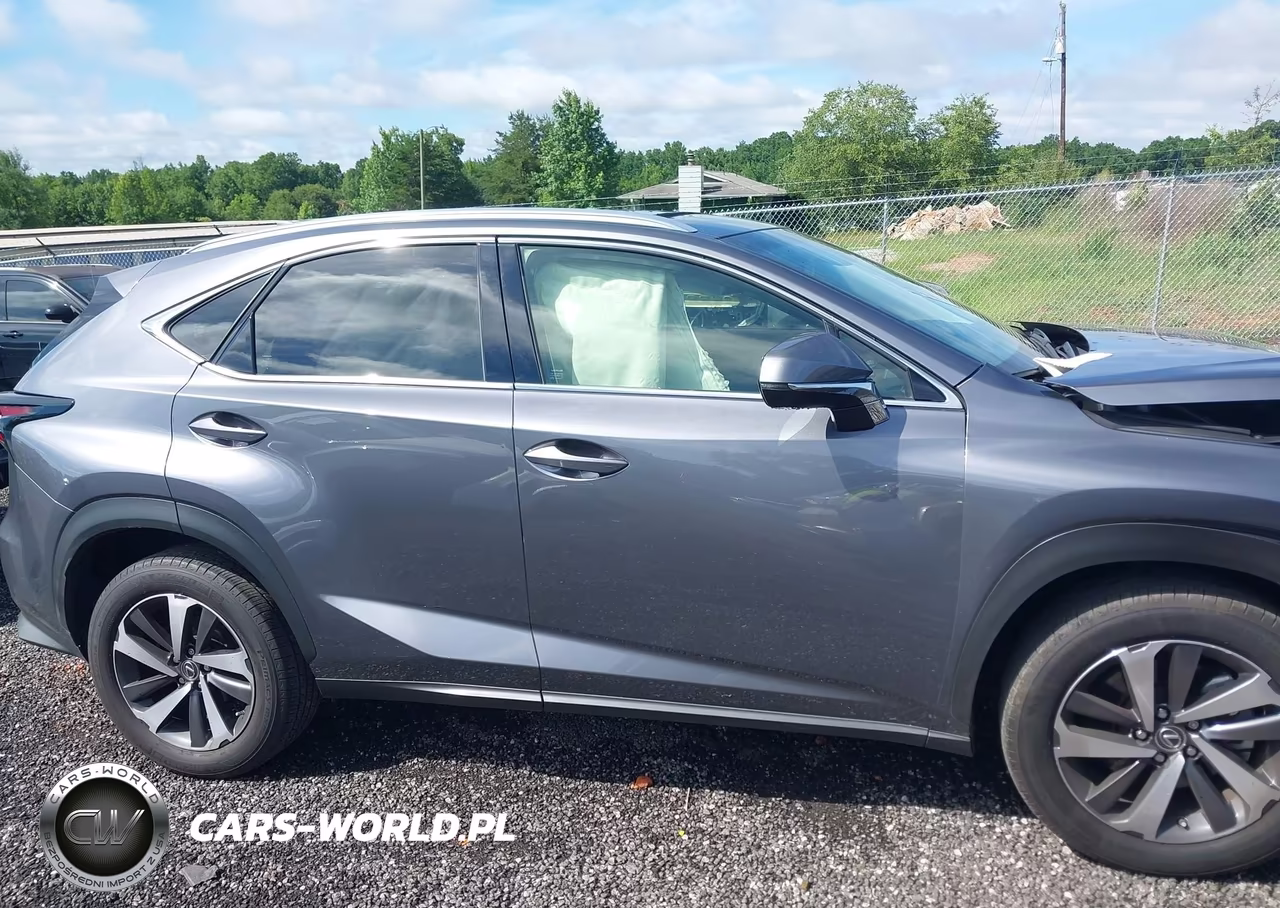 2019 Lexus Nx 300 Base-300 F Sport VIN:JTJYARBZXK2118786 - 13