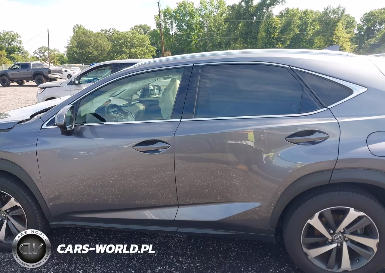 2019 Lexus Nx 300 Base-300 F Sport VIN:JTJYARBZXK2118786 - 14