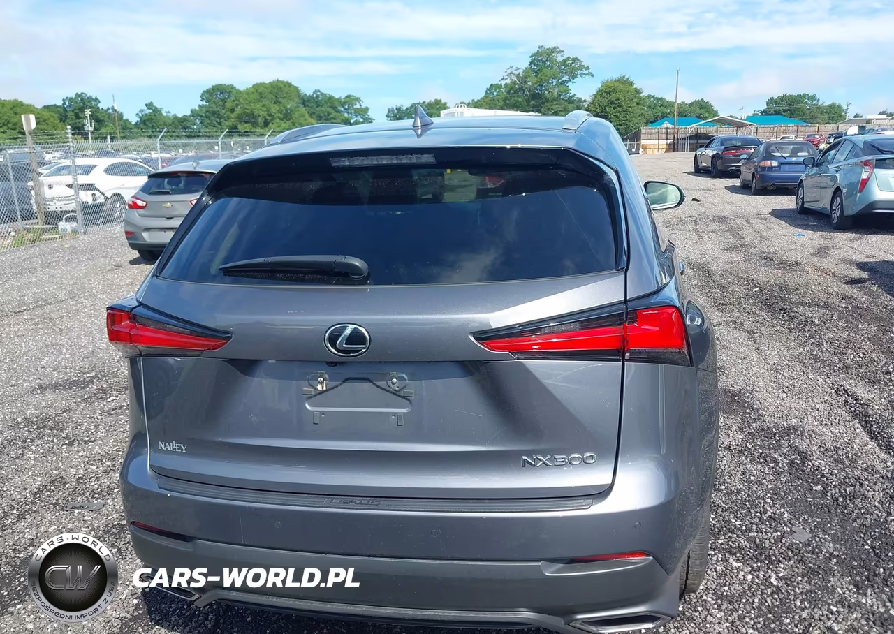 2019 Lexus Nx 300 Base-300 F Sport VIN:JTJYARBZXK2118786 - 16